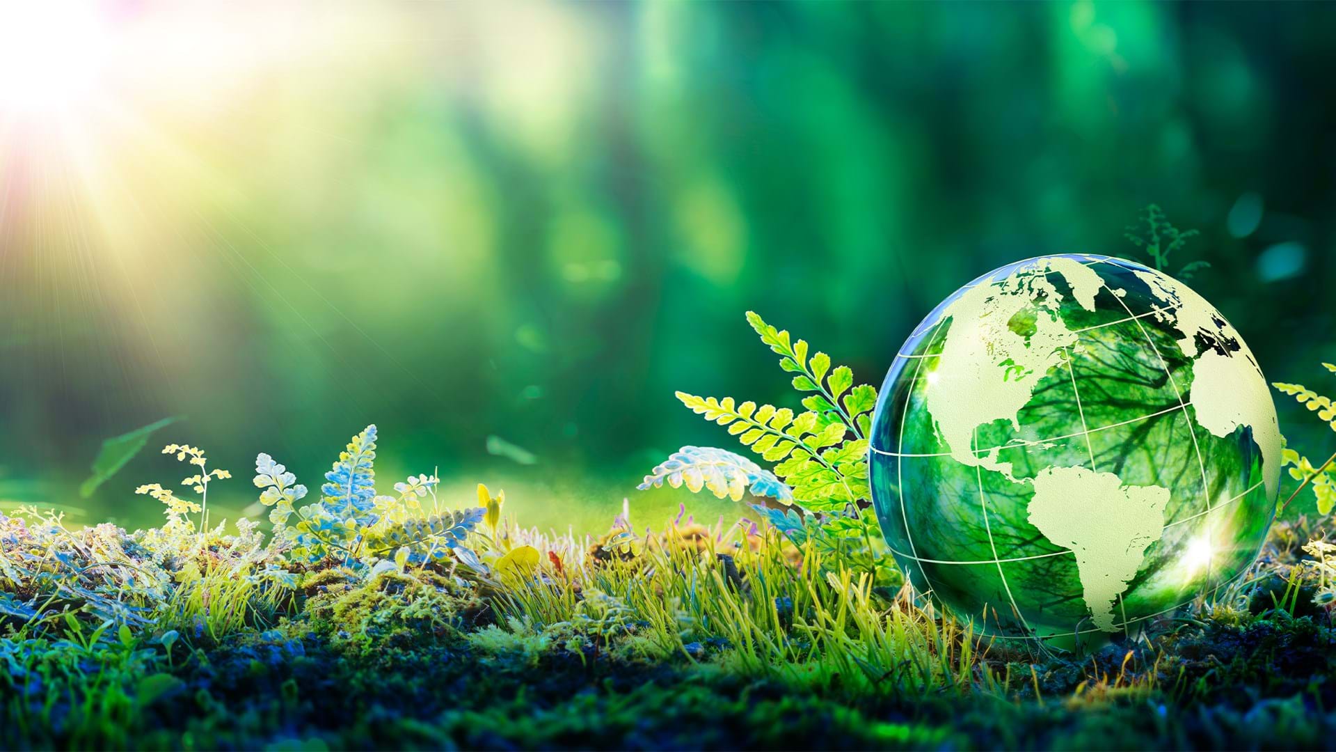 Frydenbø Sustainability